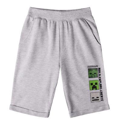BERMUDY MINECRAFT, 9
