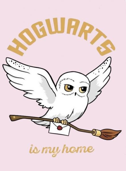 XL FLÍSOVÁ DEKA  HARRY POTTER HEDVIKA DE LUX