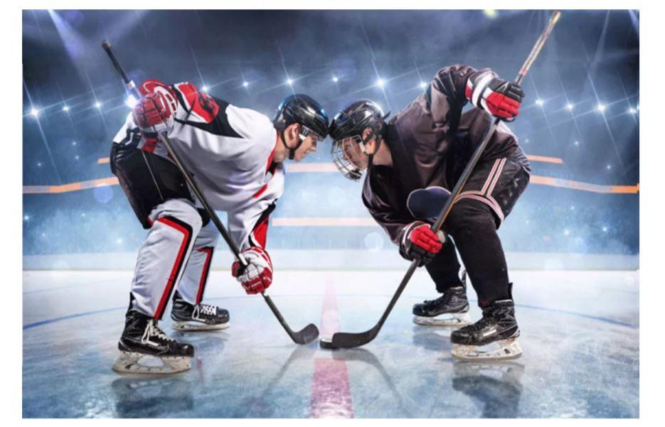 FLÍSOVÁ DEKA HOKEJ Motylek