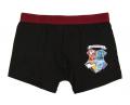 SADA 2 KS BOXERKY HARRY POTTER