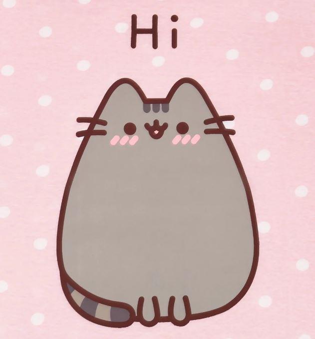 NOČNÍ KOŠILKA PUSHEEN (dospělé velikosti), XL