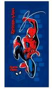 OSUŠKA SPIDERMAN