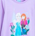 BOX 20 KS TRIKO FROZEN