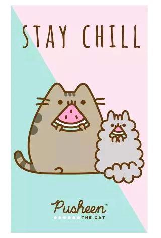 RUČNÍK PUSHEEN, uni