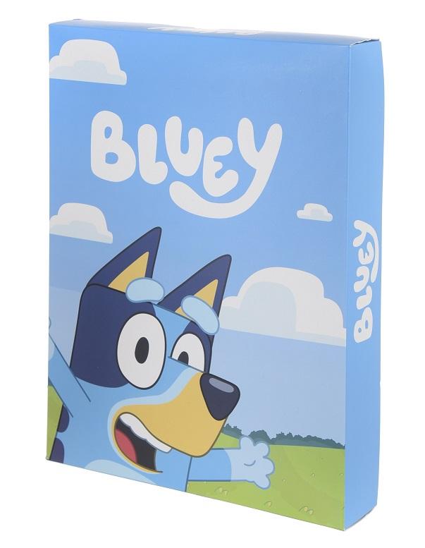 ŽUPAN BLUYE box, 5