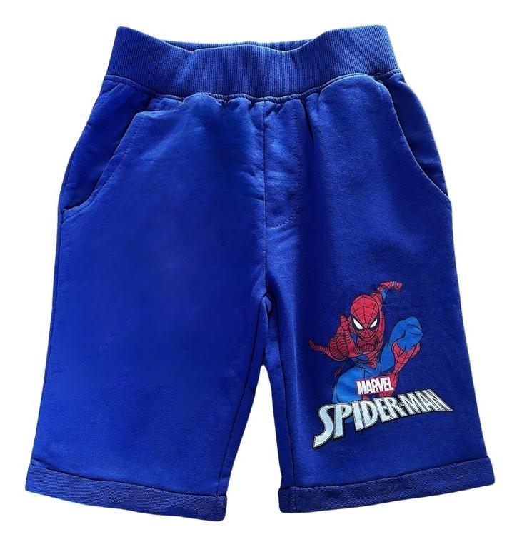 BERMUDY SPIDERMAN, 6