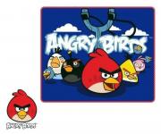 FLÍSOVÁ DEKA ANGRY BIRDS