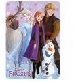 FLÍSOVÁ DEKA FROZEN