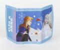 SOUPRAVA BRÝLE A PENĚŽENKA FROZEN